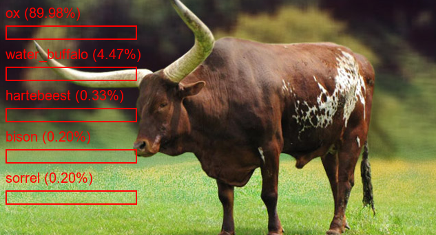 Animal Classification Output